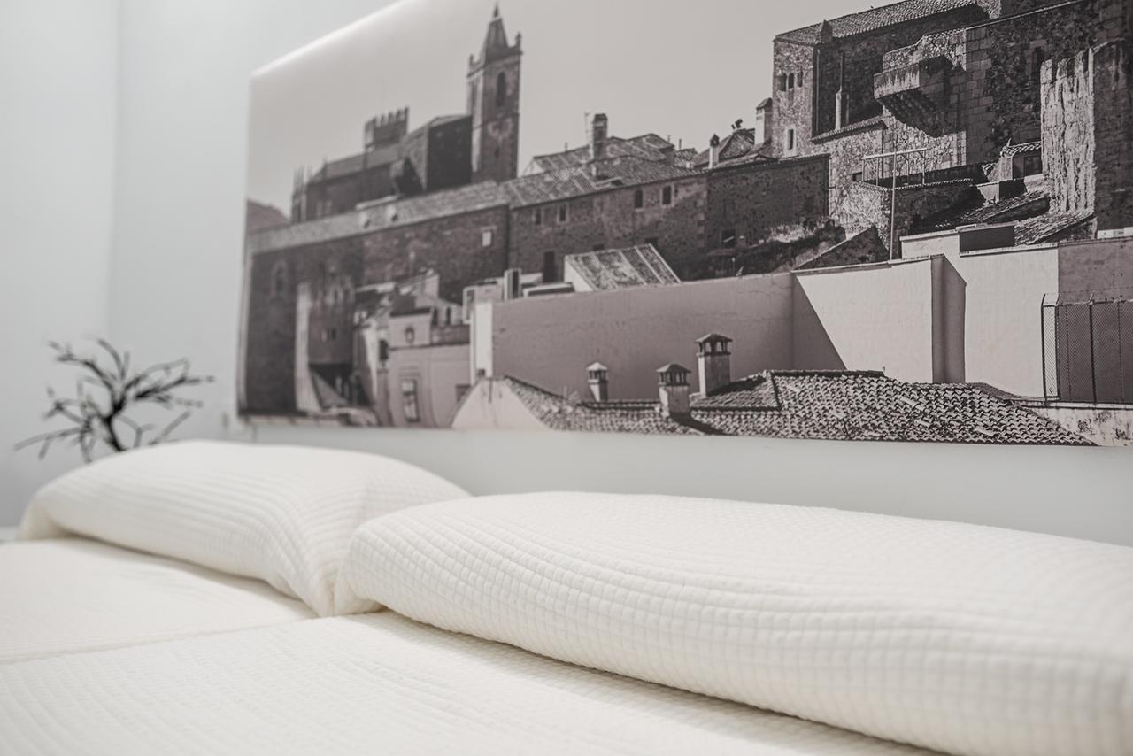 Apartamentos Turisticos Domus Seleqtia Plaza Mayor Caces 外观 照片